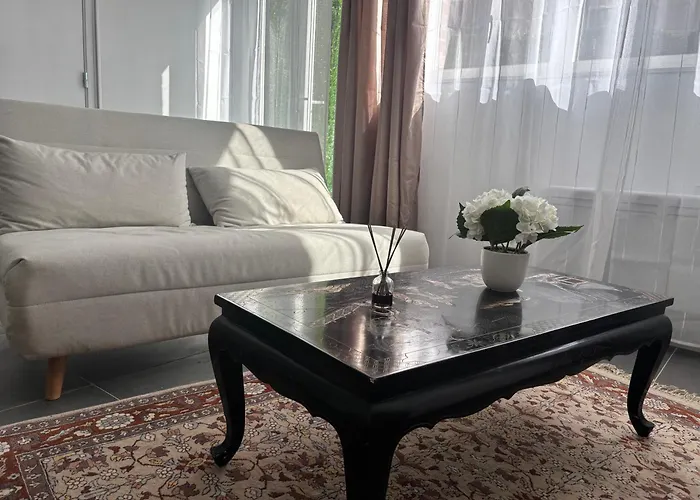 Rez-de-chaussée, 1 Chambre, 2 Personnes, Jardin Appartement Solesmes (Nord)